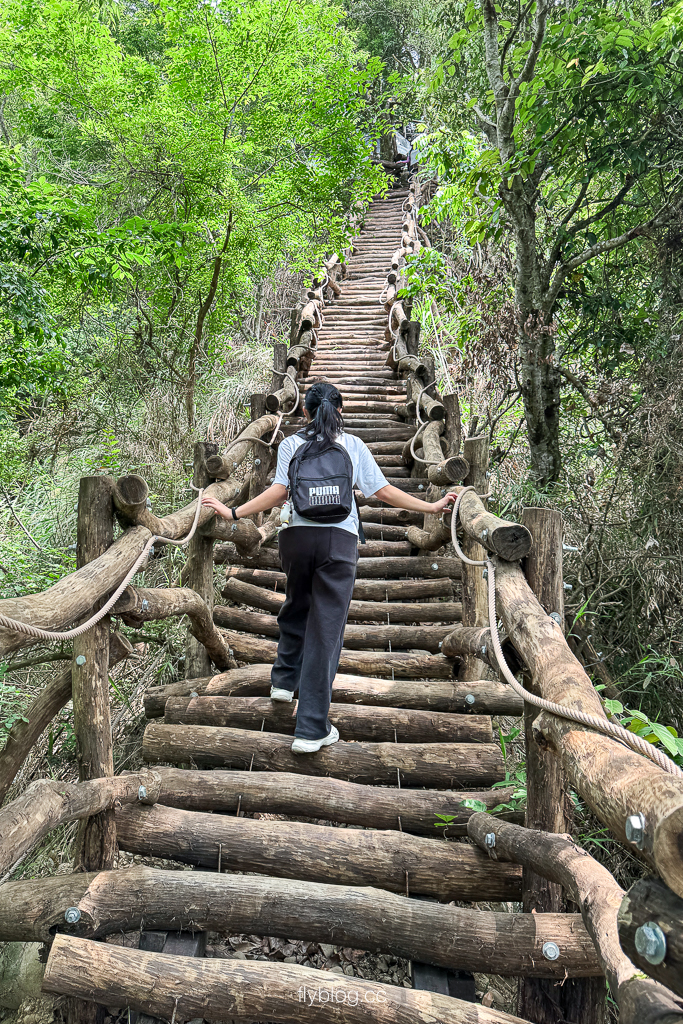 台中北屯｜大坑2號登山步道．全長1.2公里連接頭嵙山，挑戰60度好漢坡木棧道 @飛天璇的口袋