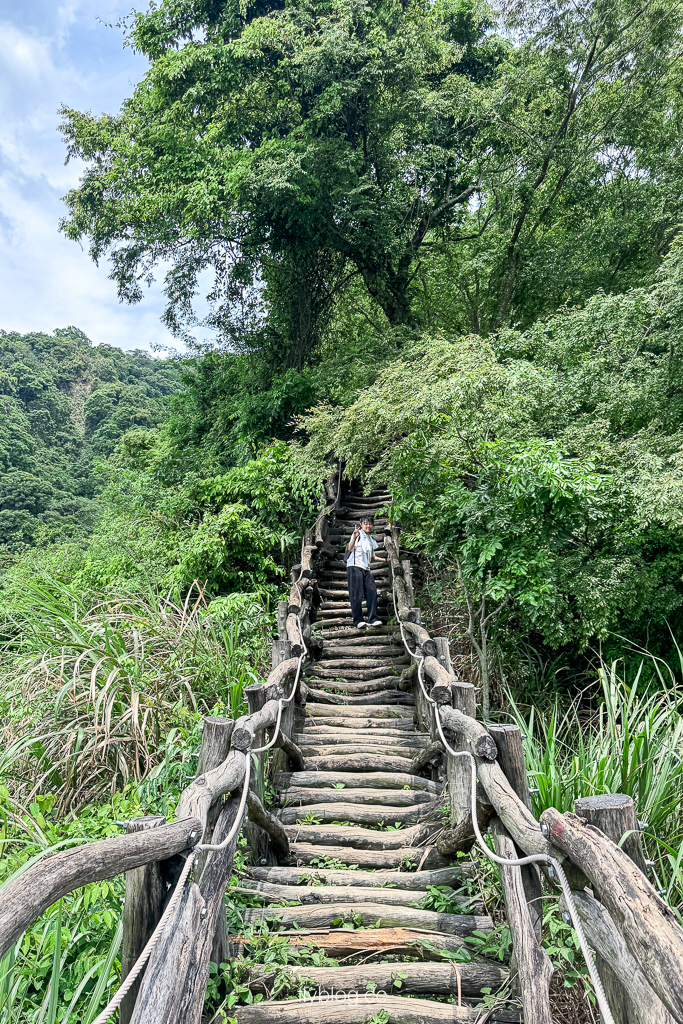 台中北屯｜大坑2號登山步道．全長1.2公里連接頭嵙山，挑戰60度好漢坡木棧道 @飛天璇的口袋
