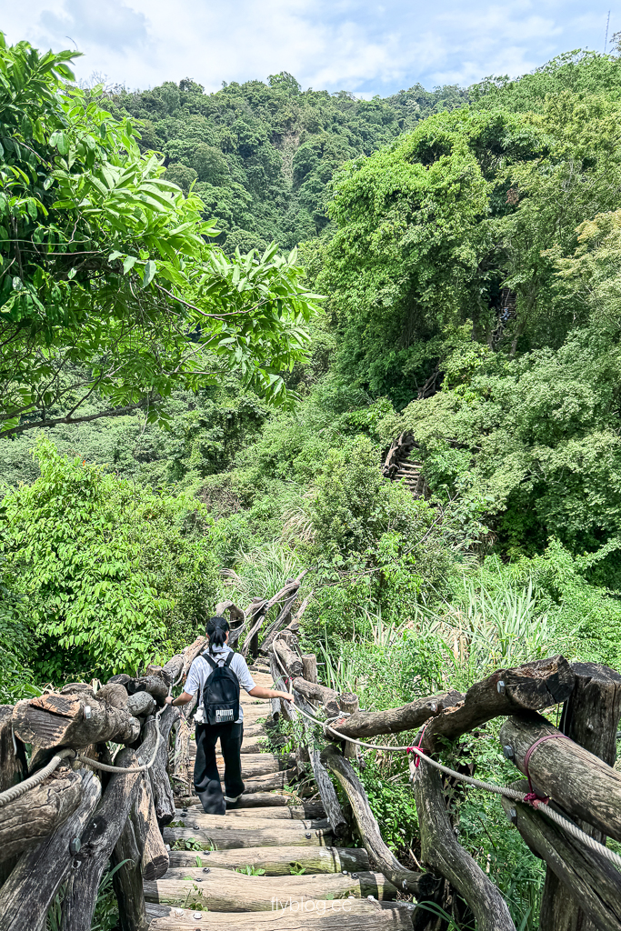 台中北屯｜大坑2號登山步道．全長1.2公里連接頭嵙山，挑戰60度好漢坡木棧道 @飛天璇的口袋