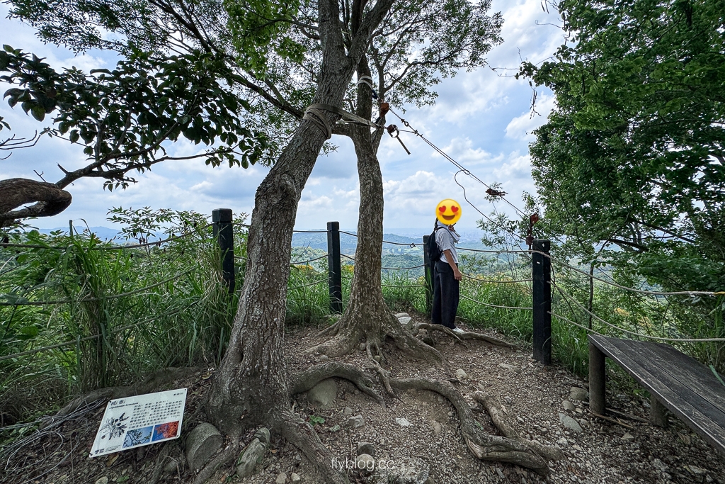 台中北屯｜大坑2號登山步道．全長1.2公里連接頭嵙山，挑戰60度好漢坡木棧道 @飛天璇的口袋