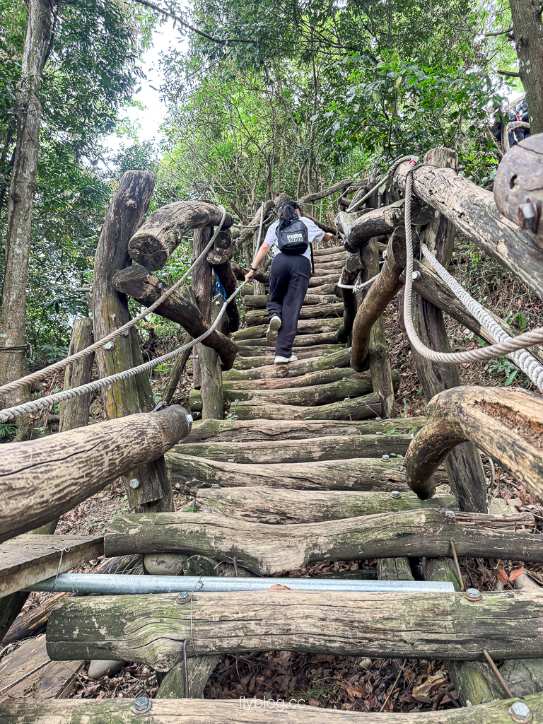 台中北屯｜大坑2號登山步道．全長1.2公里連接頭嵙山，挑戰60度好漢坡木棧道 @飛天璇的口袋