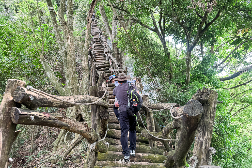 台中北屯｜大坑2號登山步道．全長1.2公里連接頭嵙山，挑戰60度好漢坡木棧道 @飛天璇的口袋