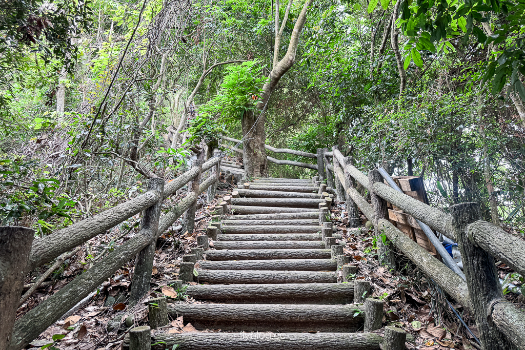台中北屯｜大坑2號登山步道．全長1.2公里連接頭嵙山，挑戰60度好漢坡木棧道 @飛天璇的口袋