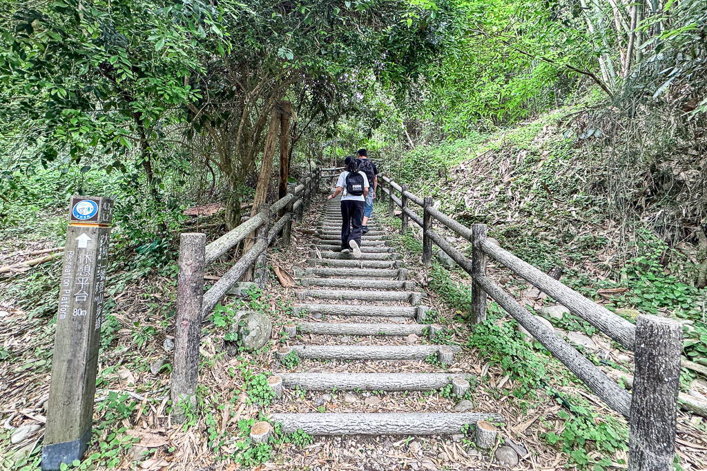 台中北屯｜大坑2號登山步道．全長1.2公里連接頭嵙山，挑戰60度好漢坡木棧道 @飛天璇的口袋
