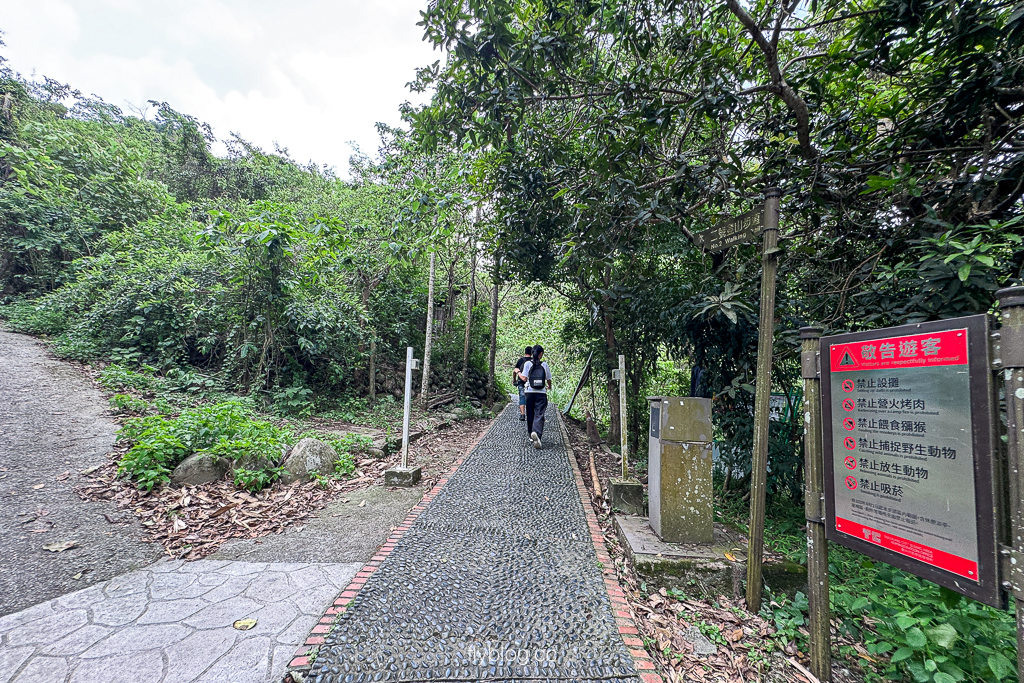 台中北屯｜大坑2號登山步道．全長1.2公里連接頭嵙山，挑戰60度好漢坡木棧道 @飛天璇的口袋