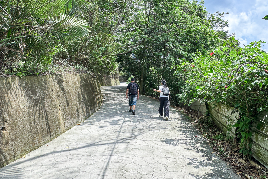 台中北屯｜大坑2號登山步道．全長1.2公里連接頭嵙山，挑戰60度好漢坡木棧道 @飛天璇的口袋