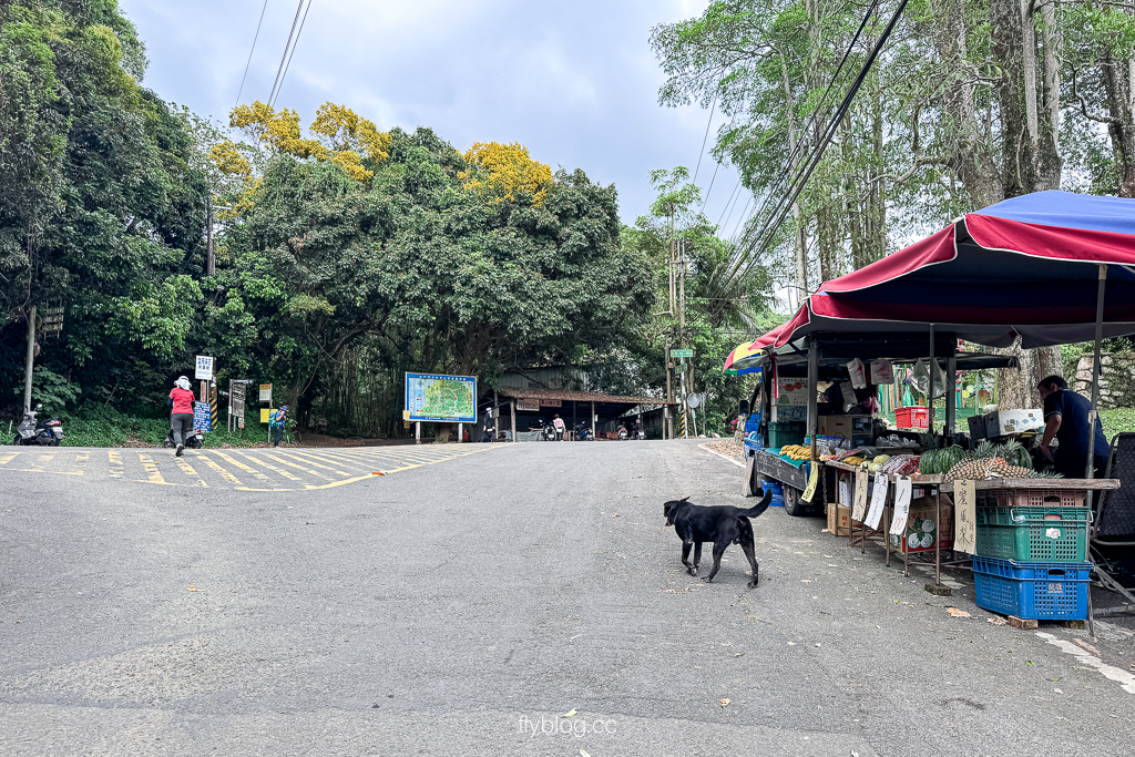 台中北屯｜大坑2號登山步道．全長1.2公里連接頭嵙山，挑戰60度好漢坡木棧道 @飛天璇的口袋