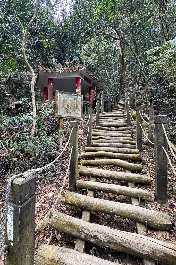 台中北屯｜大坑2號登山步道．全長1.2公里連接頭嵙山，挑戰60度好漢坡木棧道 @飛天璇的口袋