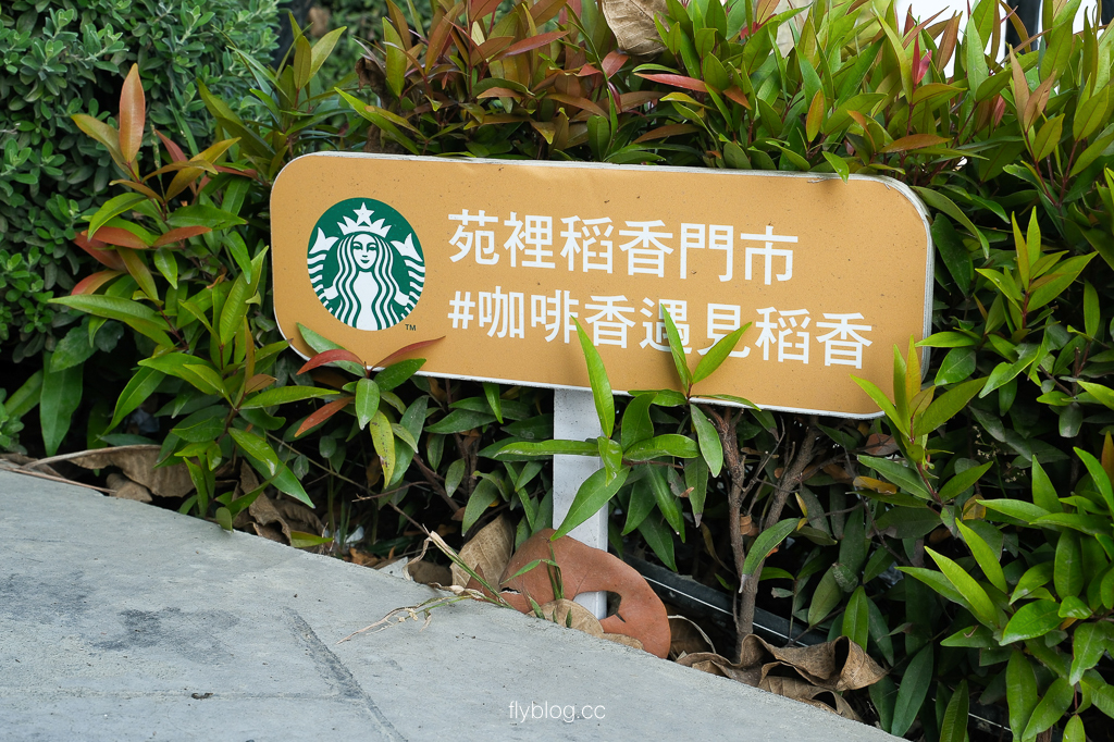 苗栗苑裡｜星巴克苑裡稻香門市．台灣第一間稻香主題星巴克，門市限定星巴克杯和稻香小熊娃娃