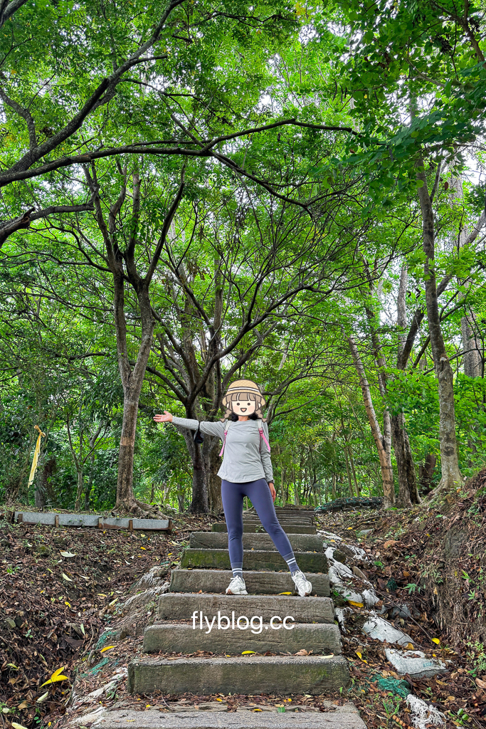 台中太平|咬人狗坑生態景觀步道.新手也能登頂的小百岳,編號43號台中太平三汀山,附停車廁所資訊 @飛天璇的口袋 台中太平|咬人狗坑生態景觀步道.新手也能登頂的小百岳,編號43號台中太平三汀山,附停車廁所資訊 @飛天璇的口袋