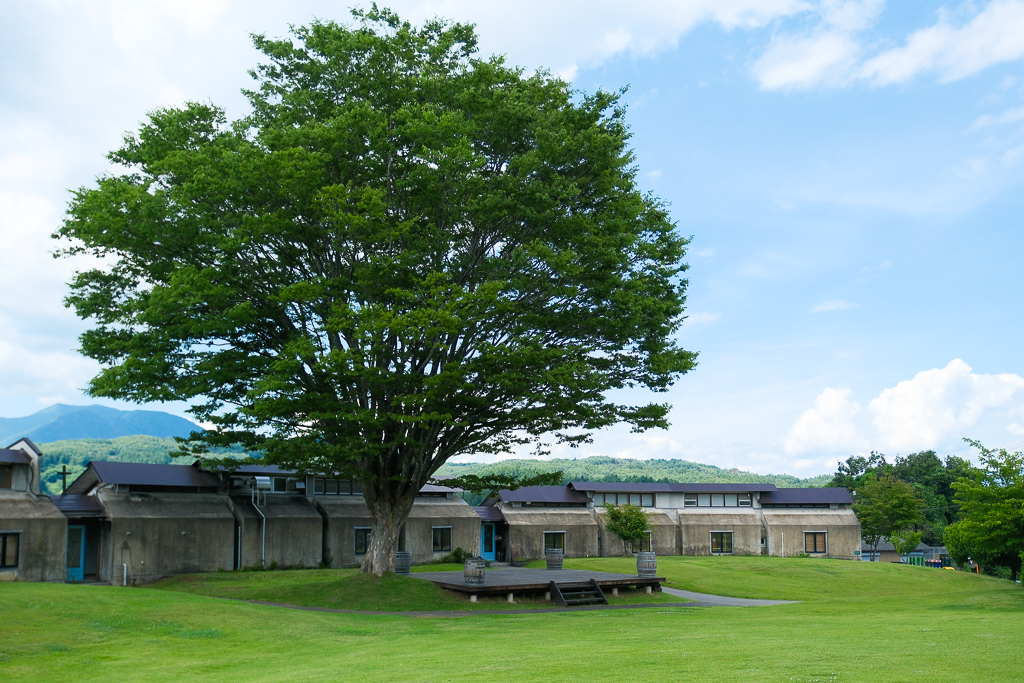 日本長野|久世福商店 本店 St. Cousair Winery.歐式莊園裡的美味探險,長野必訪美食景點 @飛天璇的口袋 日本長野|久世福商店 本店 St. Cousair Winery.歐式莊園裡的美味探險,長野必訪美食景點 @飛天璇的口袋