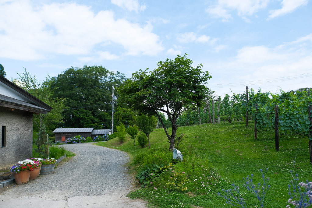 日本長野|久世福商店 本店 St. Cousair Winery.歐式莊園裡的美味探險,長野必訪美食景點 @飛天璇的口袋 日本長野|久世福商店 本店 St. Cousair Winery.歐式莊園裡的美味探險,長野必訪美食景點 @飛天璇的口袋