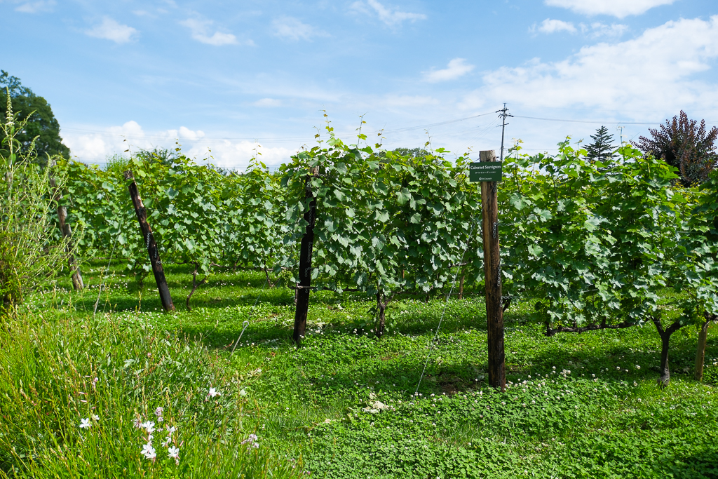 日本長野|久世福商店 本店 St. Cousair Winery.歐式莊園裡的美味探險,長野必訪美食景點 @飛天璇的口袋 日本長野|久世福商店 本店 St. Cousair Winery.歐式莊園裡的美味探險,長野必訪美食景點 @飛天璇的口袋