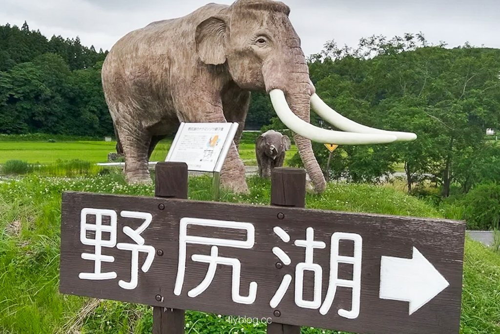 日本長野｜野尻湖納瑪象博物館．4萬年前冰河時期的文物，一探納瑪象與早期人類生活 @飛天璇的口袋