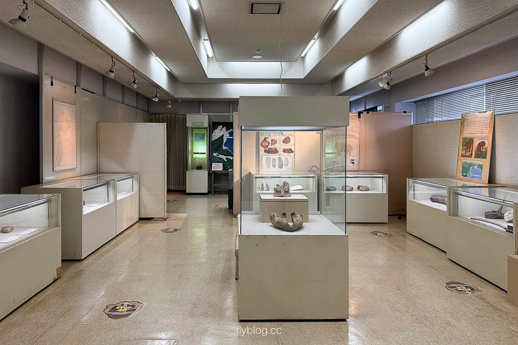 日本長野|野尻湖納瑪象博物館.4萬年前冰河時期的文物,一探納瑪象與早期人類生活 @飛天璇的口袋 日本長野|野尻湖納瑪象博物館.4萬年前冰河時期的文物,一探納瑪象與早期人類生活 @飛天璇的口袋