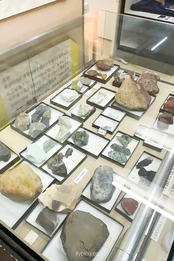 日本長野|野尻湖納瑪象博物館.4萬年前冰河時期的文物,一探納瑪象與早期人類生活 @飛天璇的口袋 日本長野|野尻湖納瑪象博物館.4萬年前冰河時期的文物,一探納瑪象與早期人類生活 @飛天璇的口袋