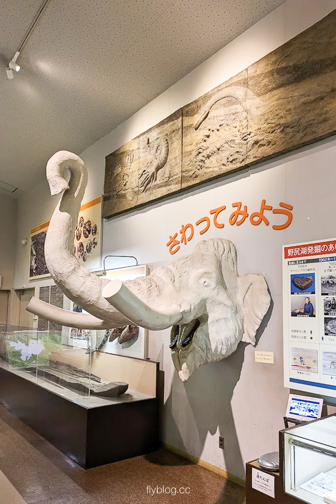 日本長野|野尻湖納瑪象博物館.4萬年前冰河時期的文物,一探納瑪象與早期人類生活 @飛天璇的口袋 日本長野|野尻湖納瑪象博物館.4萬年前冰河時期的文物,一探納瑪象與早期人類生活 @飛天璇的口袋