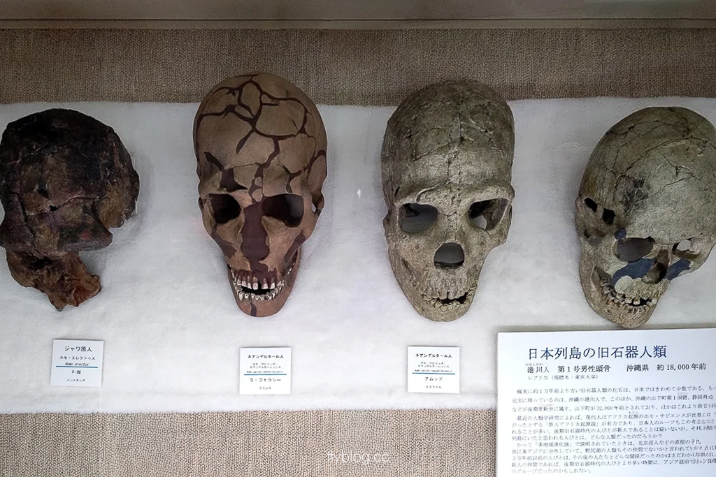 日本長野|野尻湖納瑪象博物館.4萬年前冰河時期的文物,一探納瑪象與早期人類生活 @飛天璇的口袋 日本長野|野尻湖納瑪象博物館.4萬年前冰河時期的文物,一探納瑪象與早期人類生活 @飛天璇的口袋