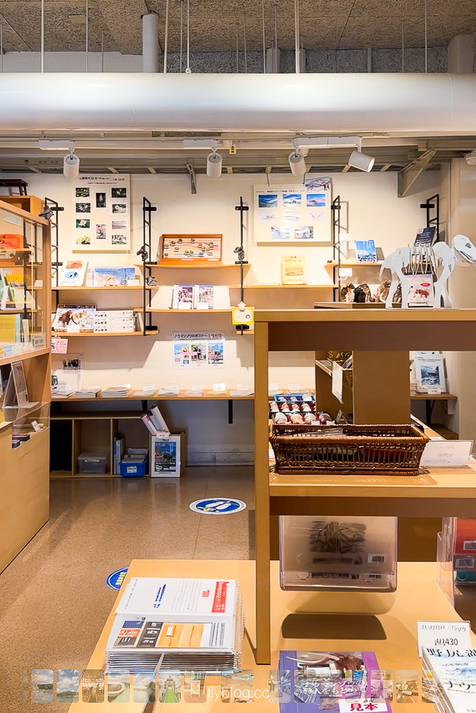 日本長野|野尻湖納瑪象博物館.4萬年前冰河時期的文物,一探納瑪象與早期人類生活 @飛天璇的口袋 日本長野|野尻湖納瑪象博物館.4萬年前冰河時期的文物,一探納瑪象與早期人類生活 @飛天璇的口袋