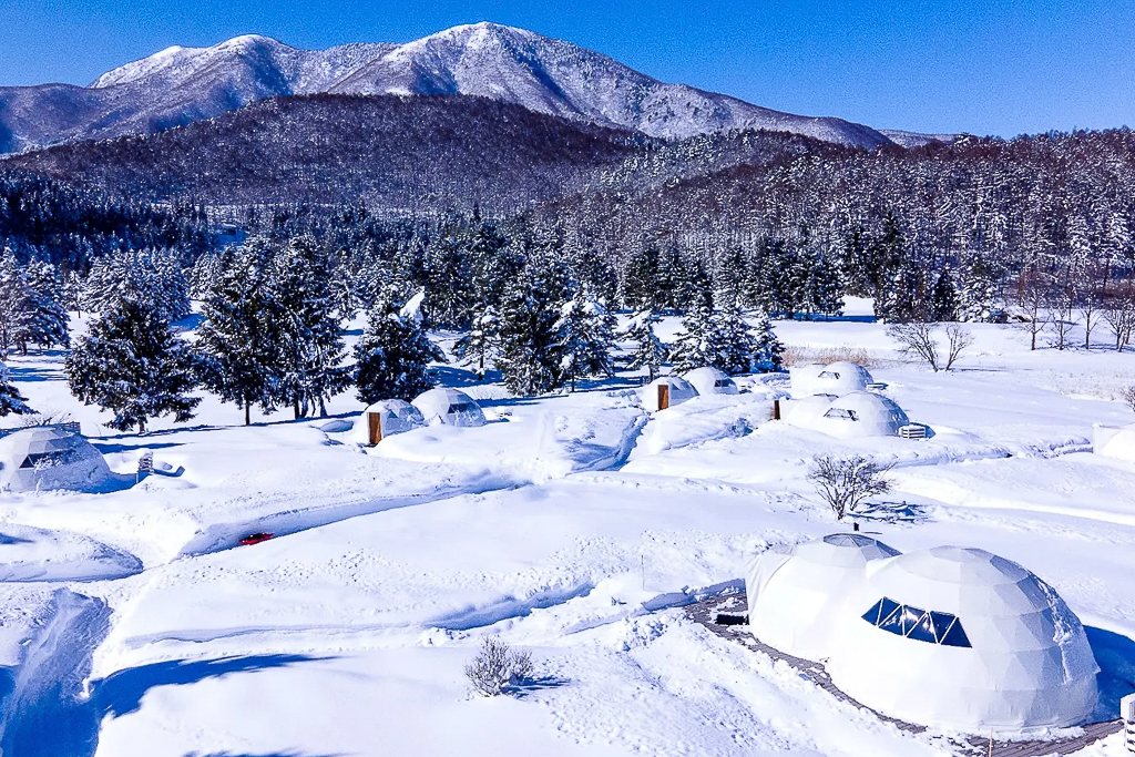 日本長野｜GLAMPROOK 飯綱高原．海拔1000m高山景緻，一泊四食豪華露營，超美璀璨星空體驗 @飛天璇的口袋