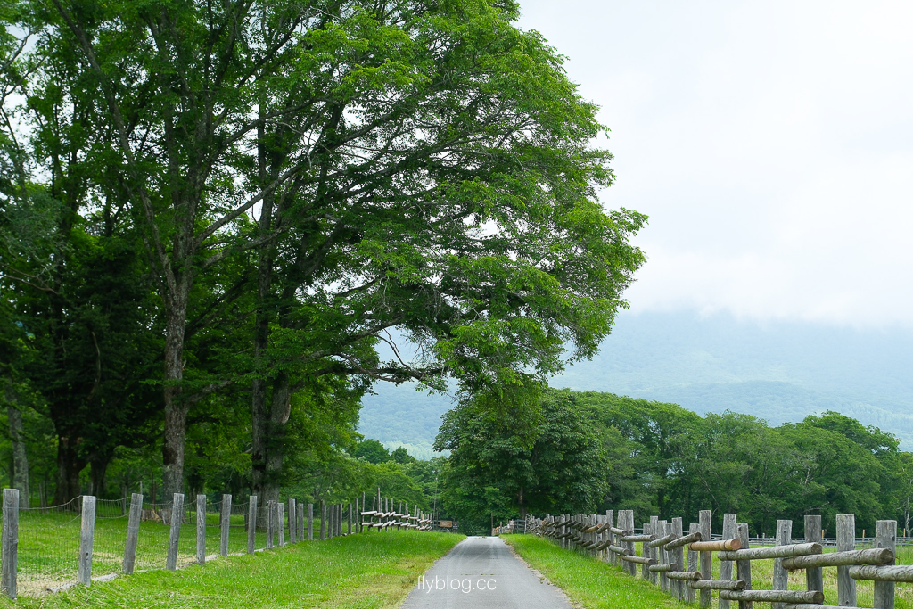 日本長野|戶隱露營場.貼近大自然的小木屋露營,享受悠閒一泊二食 @飛天璇的口袋 日本長野|戶隱露營場.貼近大自然的小木屋露營,享受悠閒一泊二食 @飛天璇的口袋