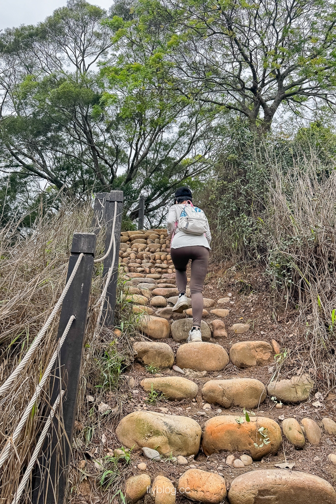 台中大肚｜萬里長城登山步道．旗開得勝步道走O型路線，直達長壽亭2小時來回 @飛天璇的口袋