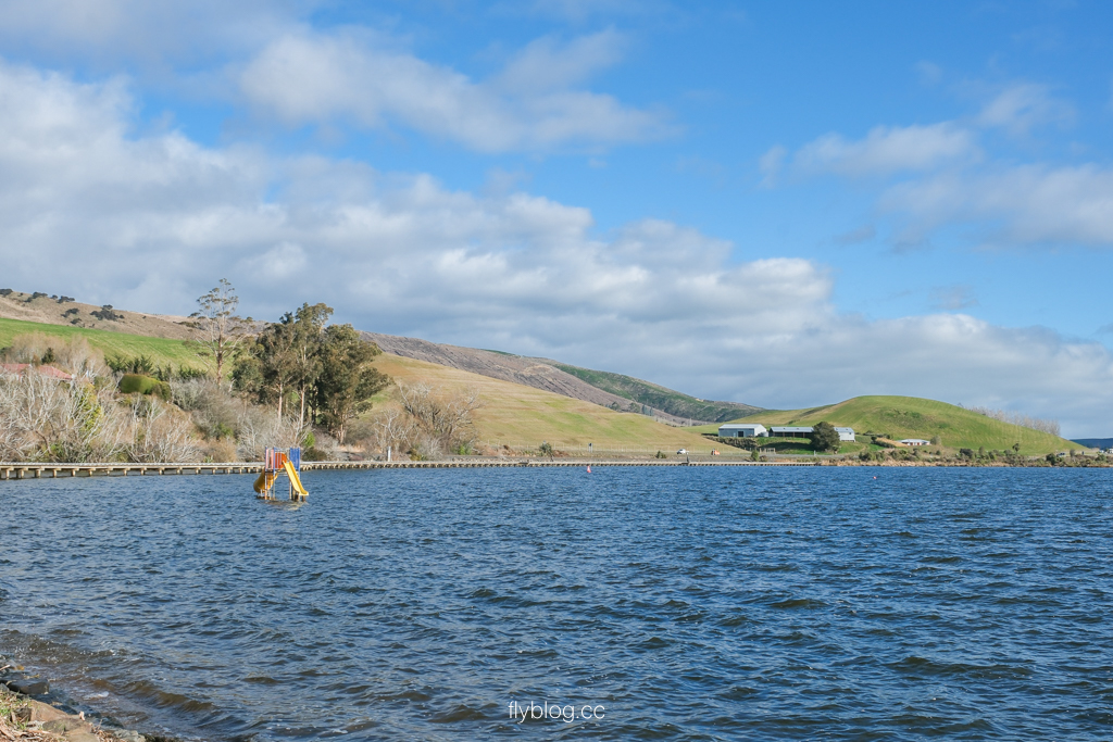 紐西蘭南島｜懷霍拉湖 Lake Waihola．平靜如鏡的天空之鏡，豐富生態和自然鳥類 @飛天璇的口袋