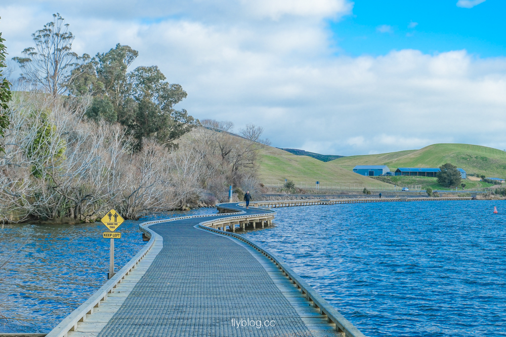 紐西蘭南島｜懷霍拉湖 Lake Waihola．平靜如鏡的天空之鏡，豐富生態和自然鳥類 @飛天璇的口袋