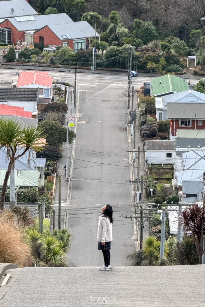 紐西蘭南島|鮑德溫街 Baldwin Street.世界最陡的街道,但尼丁必拍景點 @飛天璇的口袋 紐西蘭南島|鮑德溫街 Baldwin Street.世界最陡的街道,但尼丁必拍景點 @飛天璇的口袋