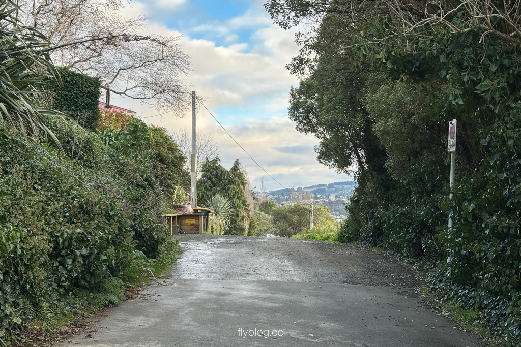 紐西蘭南島|鮑德溫街 Baldwin Street.世界最陡的街道,但尼丁必拍景點 @飛天璇的口袋 紐西蘭南島|鮑德溫街 Baldwin Street.世界最陡的街道,但尼丁必拍景點 @飛天璇的口袋
