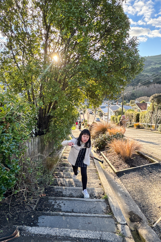 紐西蘭南島|鮑德溫街 Baldwin Street.世界最陡的街道,但尼丁必拍景點 @飛天璇的口袋 紐西蘭南島|鮑德溫街 Baldwin Street.世界最陡的街道,但尼丁必拍景點 @飛天璇的口袋