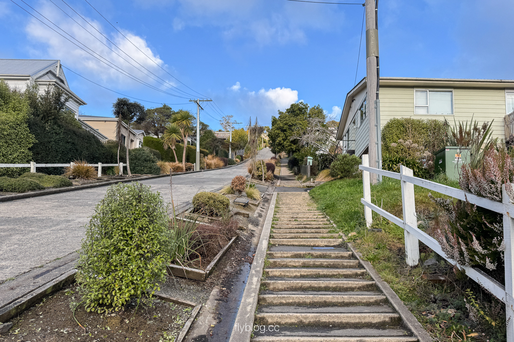 紐西蘭南島|鮑德溫街 Baldwin Street.世界最陡的街道,但尼丁必拍景點 @飛天璇的口袋 紐西蘭南島|鮑德溫街 Baldwin Street.世界最陡的街道,但尼丁必拍景點 @飛天璇的口袋