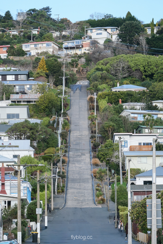 紐西蘭南島|鮑德溫街 Baldwin Street.世界最陡的街道,但尼丁必拍景點 @飛天璇的口袋 紐西蘭南島|鮑德溫街 Baldwin Street.世界最陡的街道,但尼丁必拍景點 @飛天璇的口袋