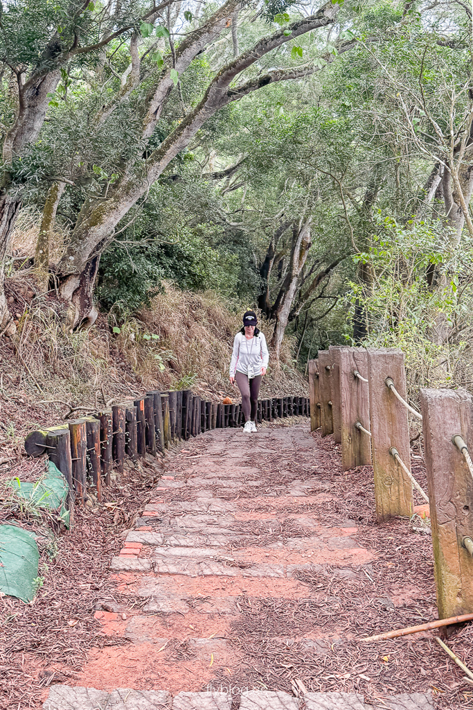 台中大肚｜萬里長城登山步道．旗開得勝步道走O型路線，直達長壽亭2小時來回 @飛天璇的口袋