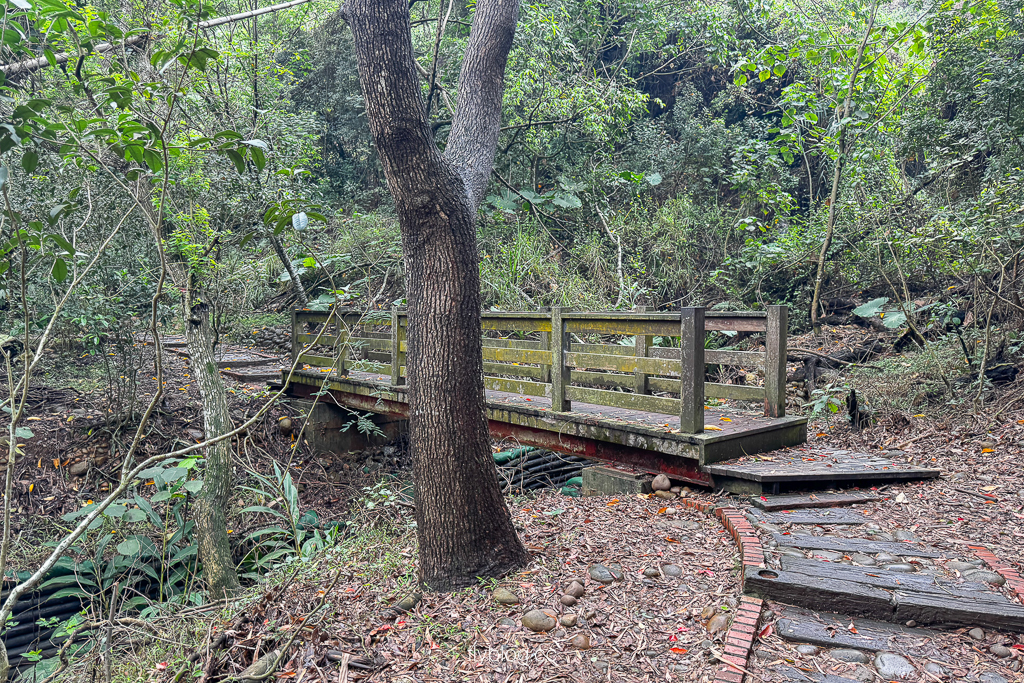 台中大肚｜萬里長城登山步道．旗開得勝步道走O型路線，直達長壽亭2小時來回 @飛天璇的口袋