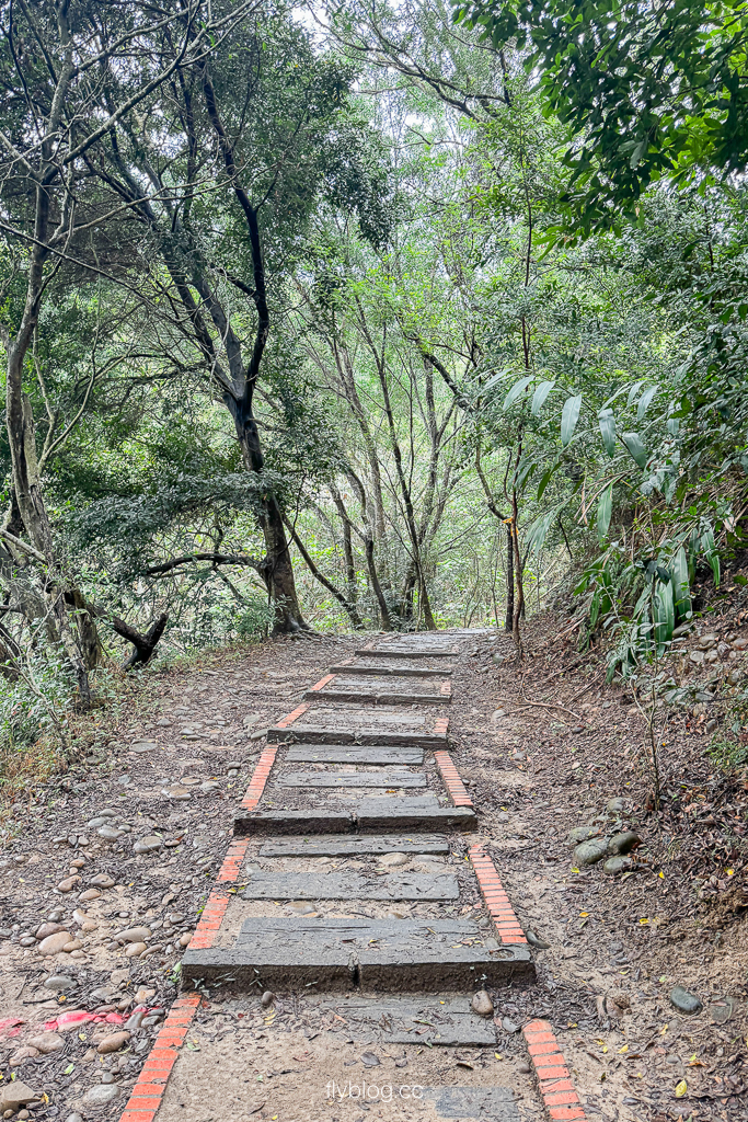 台中大肚｜萬里長城登山步道．旗開得勝步道走O型路線，直達長壽亭2小時來回 @飛天璇的口袋