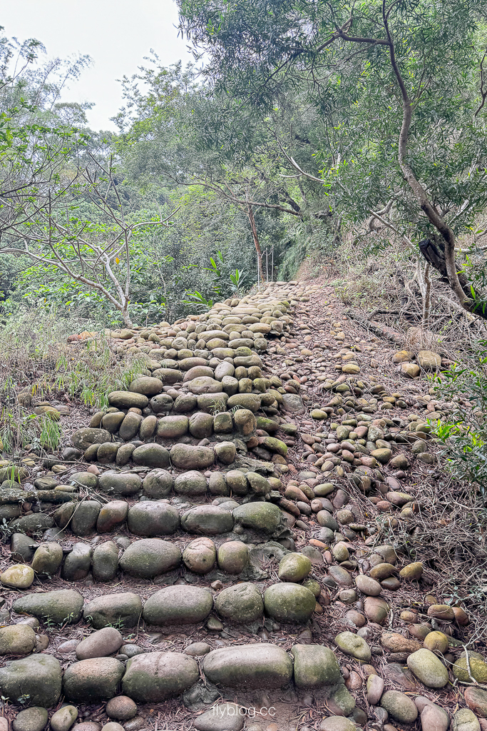 台中大肚｜萬里長城登山步道．旗開得勝步道走O型路線，直達長壽亭2小時來回 @飛天璇的口袋