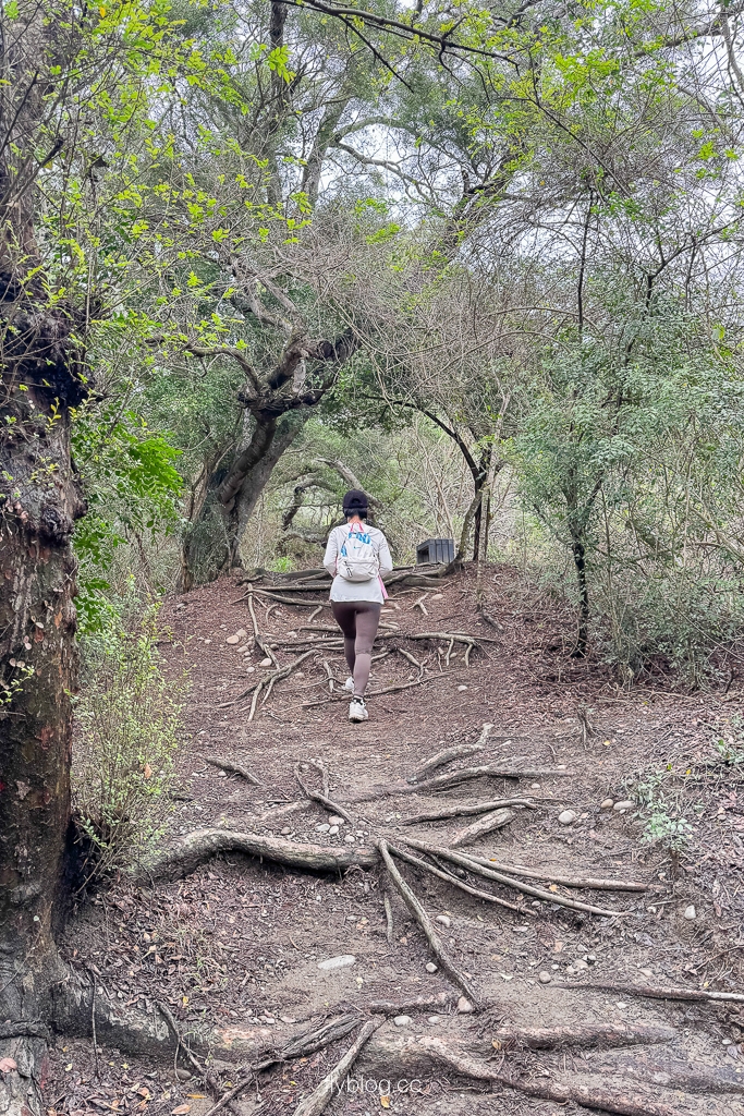 台中大肚｜萬里長城登山步道．旗開得勝步道走O型路線，直達長壽亭2小時來回 @飛天璇的口袋