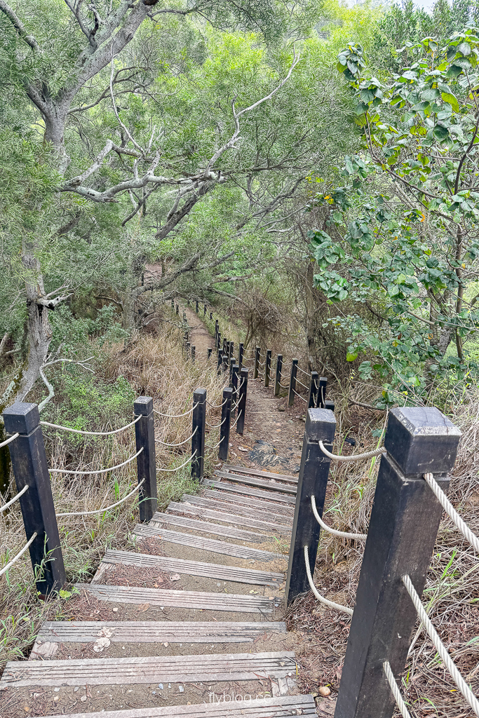台中大肚｜萬里長城登山步道．旗開得勝步道走O型路線，直達長壽亭2小時來回 @飛天璇的口袋