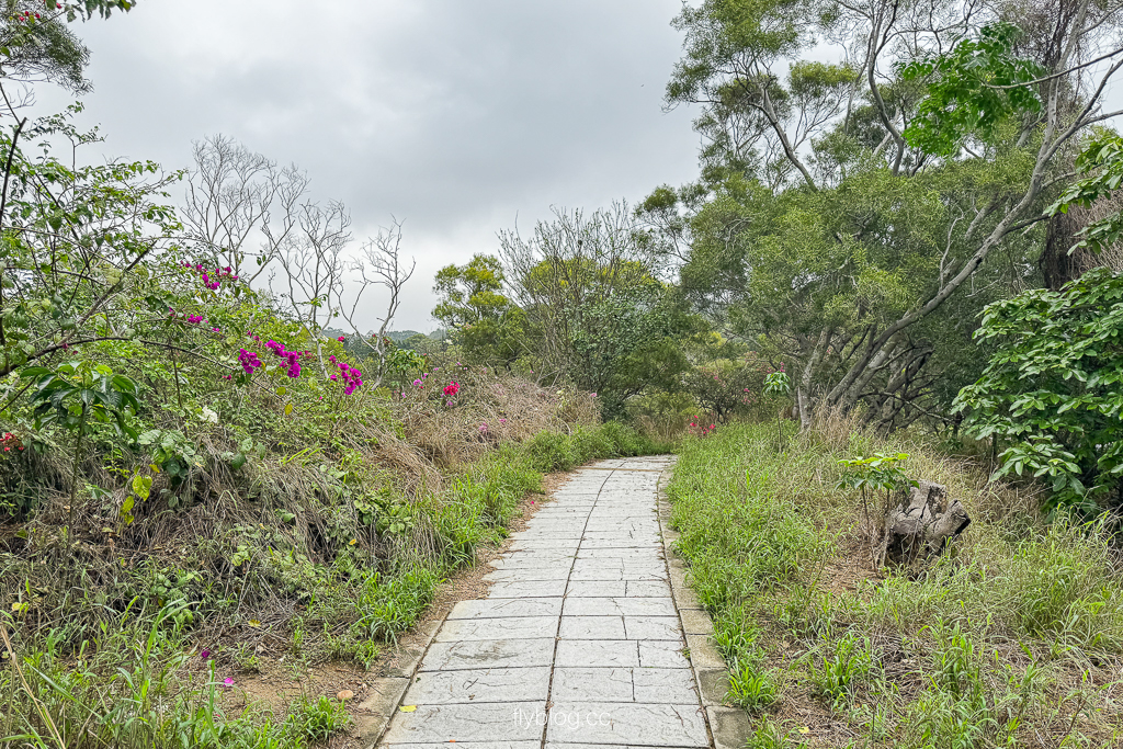 台中大肚｜萬里長城登山步道．旗開得勝步道走O型路線，直達長壽亭2小時來回 @飛天璇的口袋