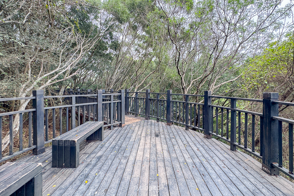 台中大肚｜萬里長城登山步道．旗開得勝步道走O型路線，直達長壽亭2小時來回 @飛天璇的口袋