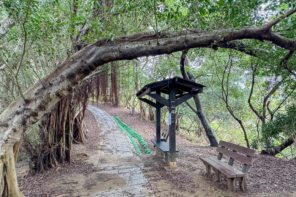 台中大肚｜萬里長城登山步道．旗開得勝步道走O型路線，直達長壽亭2小時來回 @飛天璇的口袋