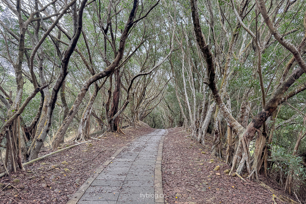 台中大肚｜萬里長城登山步道．旗開得勝步道走O型路線，直達長壽亭2小時來回 @飛天璇的口袋