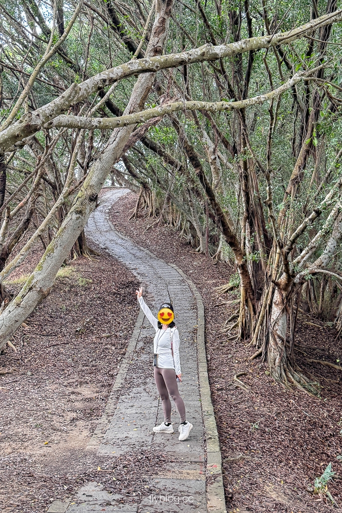 台中大肚｜萬里長城登山步道．旗開得勝步道走O型路線，直達長壽亭2小時來回 @飛天璇的口袋