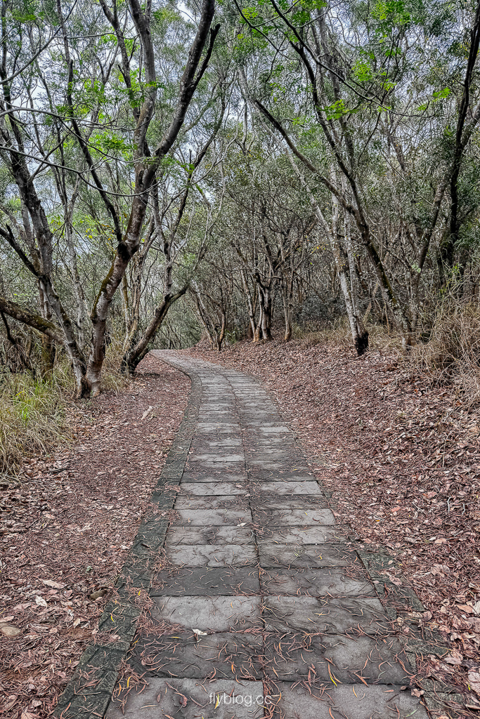 台中大肚｜萬里長城登山步道．旗開得勝步道走O型路線，直達長壽亭2小時來回 @飛天璇的口袋