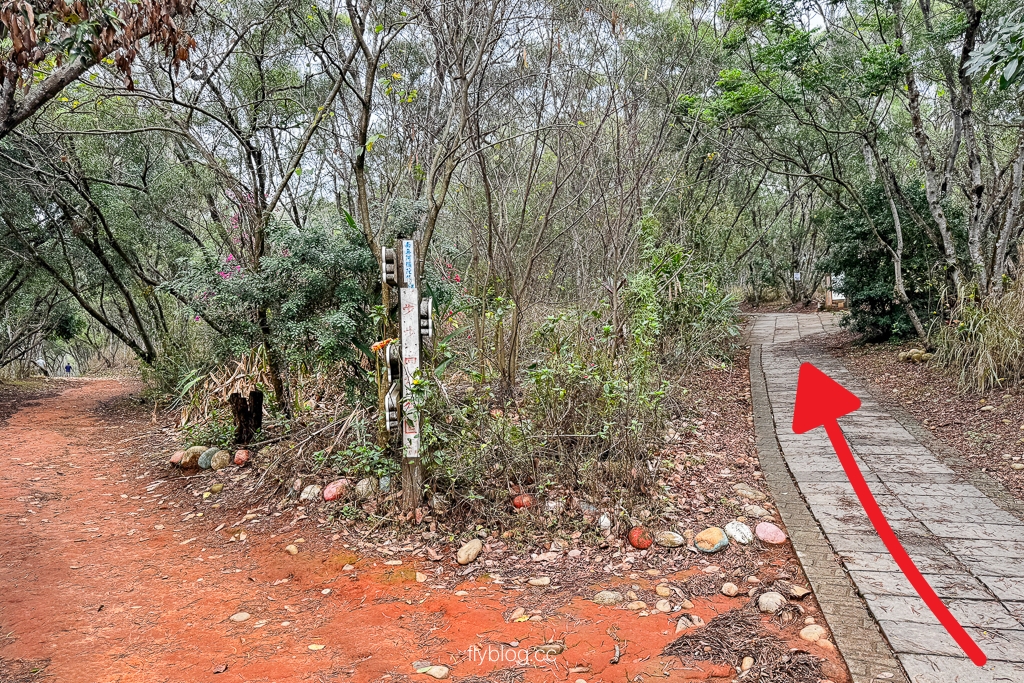 台中大肚｜萬里長城登山步道．旗開得勝步道走O型路線，直達長壽亭2小時來回 @飛天璇的口袋