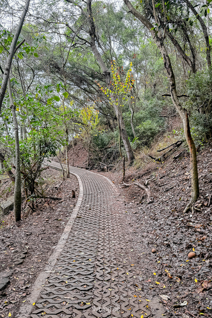 台中大肚｜萬里長城登山步道．旗開得勝步道走O型路線，直達長壽亭2小時來回 @飛天璇的口袋