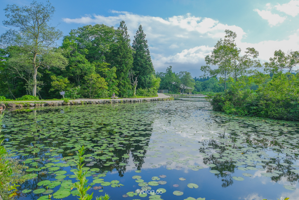 日本新潟｜蠑螈池 いもり池．新潟妙高自然景點，遠眺妙高山的壯麗景色 @飛天璇的口袋