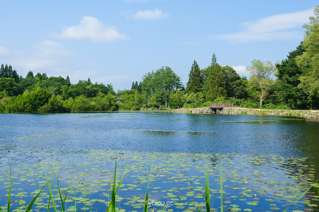 日本新潟｜蠑螈池 いもり池．新潟妙高自然景點，遠眺妙高山的壯麗景色 @飛天璇的口袋