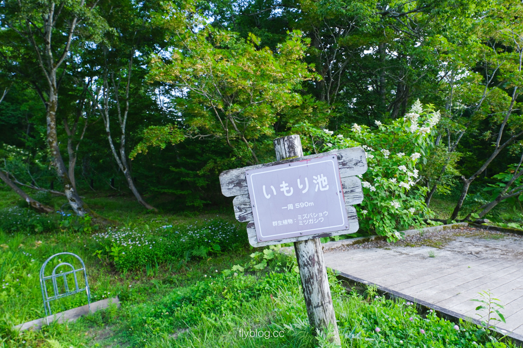 日本新潟｜蠑螈池 いもり池．新潟妙高自然景點，遠眺妙高山的壯麗景色 @飛天璇的口袋